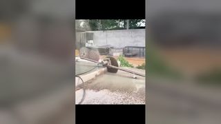 Regulowany wspornik szyny piły ściennej
