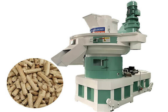 250-350kg/h Biomass Briquette Press for Coffee Grounds