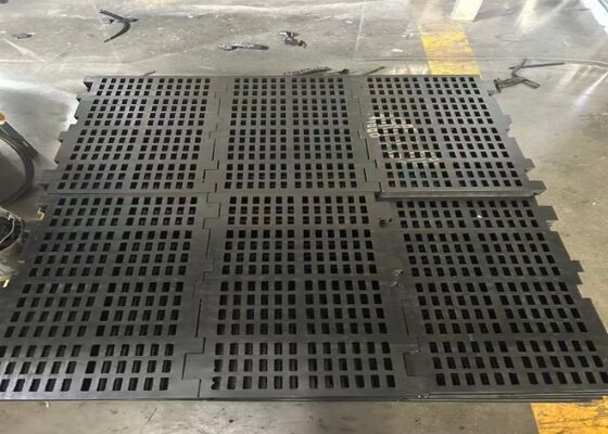 OEM Rubber Screening Media for Coal Preparation Plants