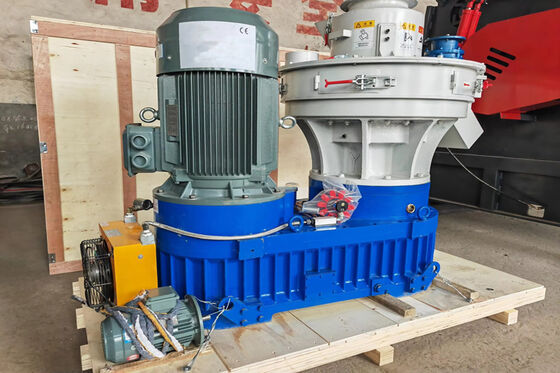 25 ton prasy hydraulicznej do przekształcania odpadów z biomasy w energię