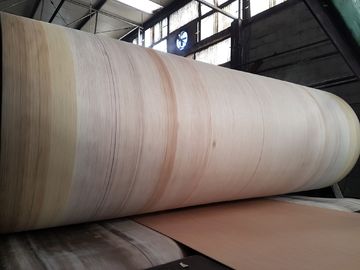 Pasek z tektury falistej z aramidu o wysokiej wytrzymałości do tektury falistej BHS, FOSBER, MARQUIP